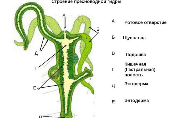 Kraken маркетплейс как зайти