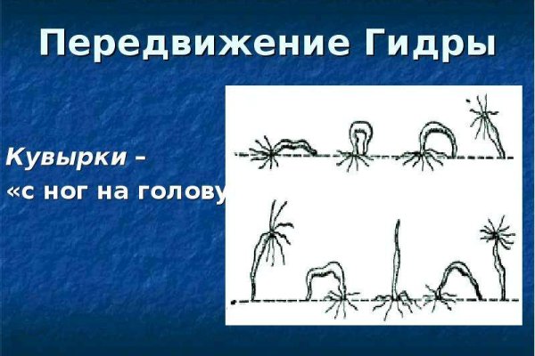 Кракен онион ссылка на тор